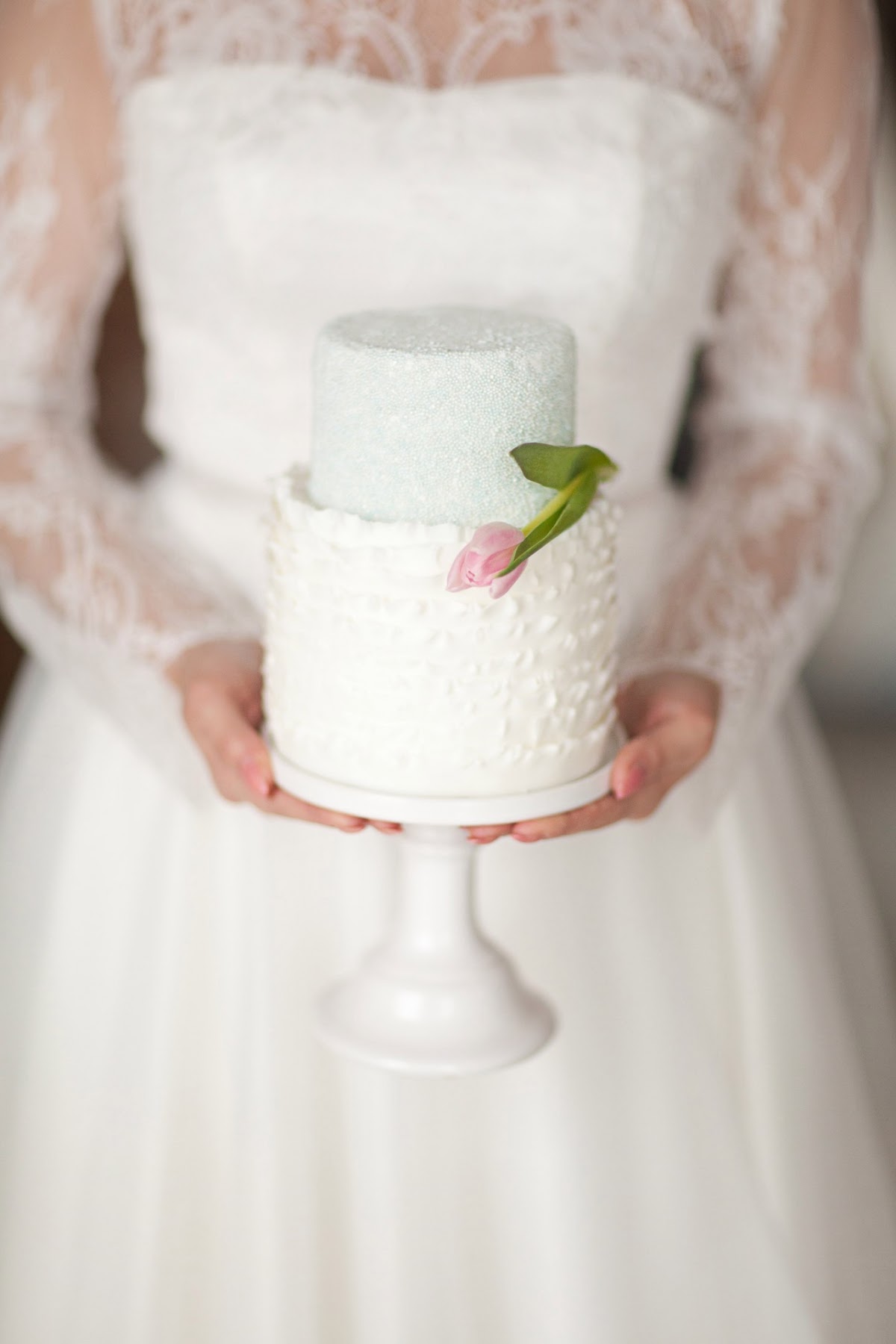 Stasiscakes
