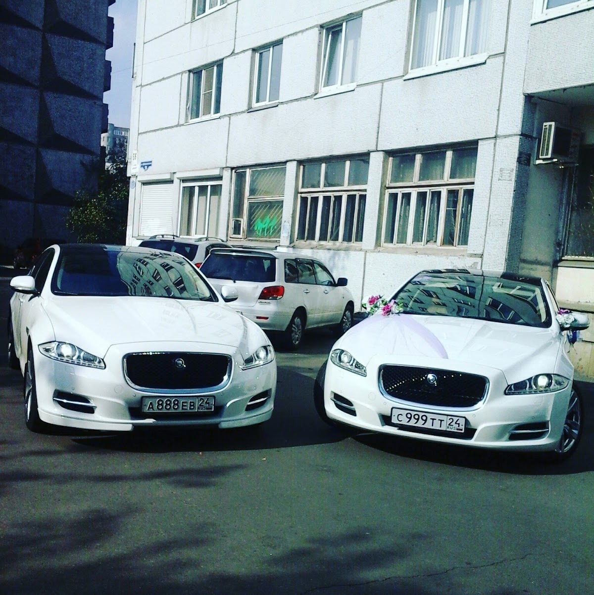 Jaguar (Ягуар)