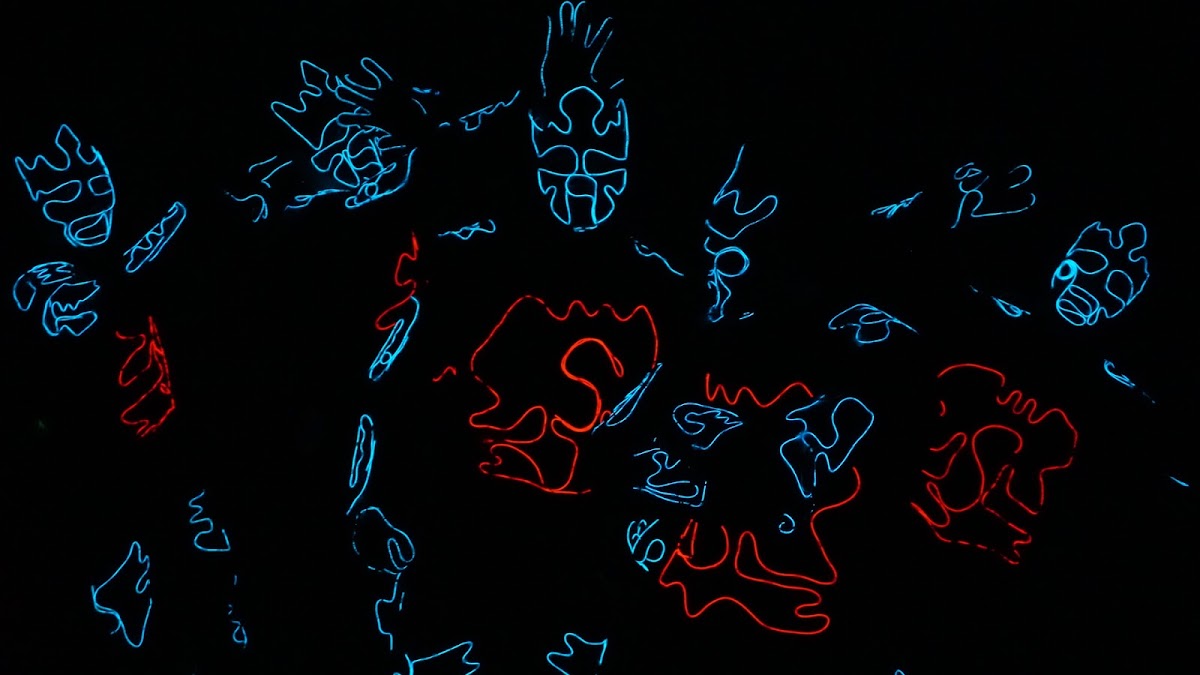 Портфолио: Свадьба