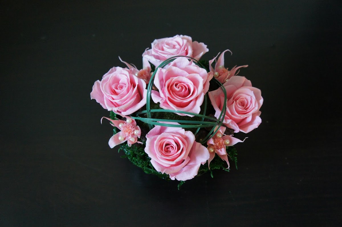 Belle flower