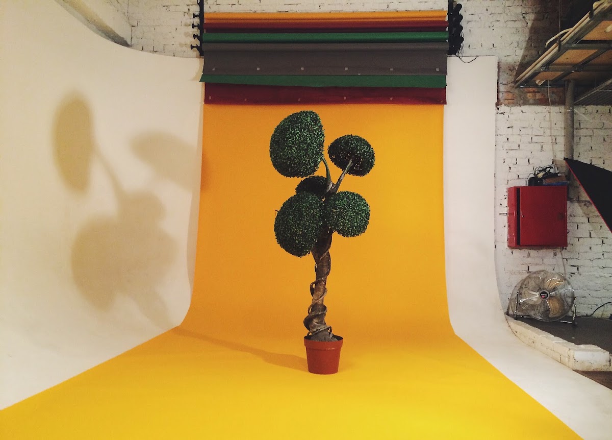 THE WOOD STUDIO