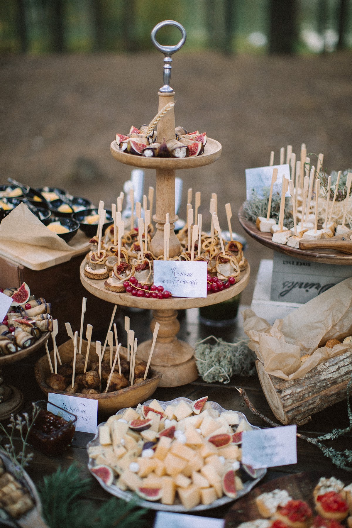 Catering Taste Lab
