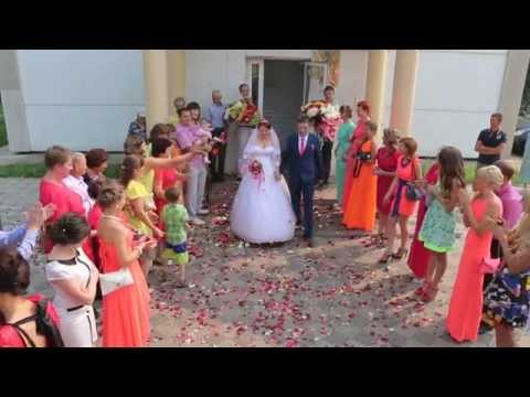 Портфолио: Свадьба