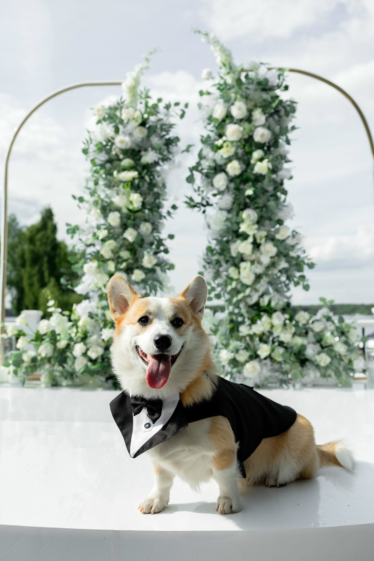 Wedding day Павел и Анастасия