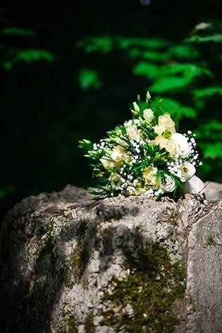 ProDecor