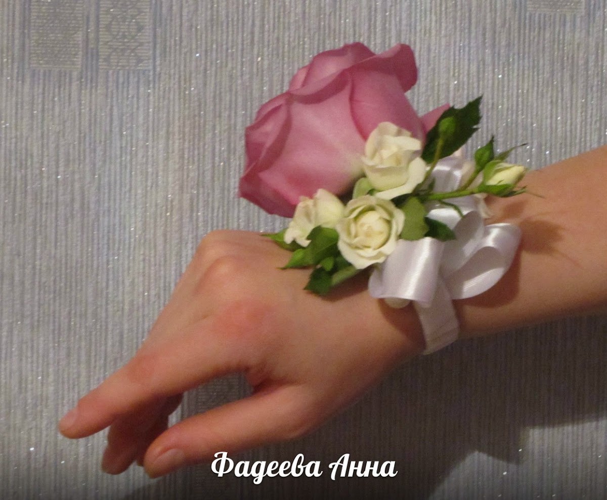 Портфолио