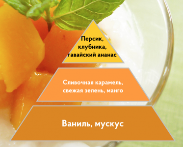 Портфолио