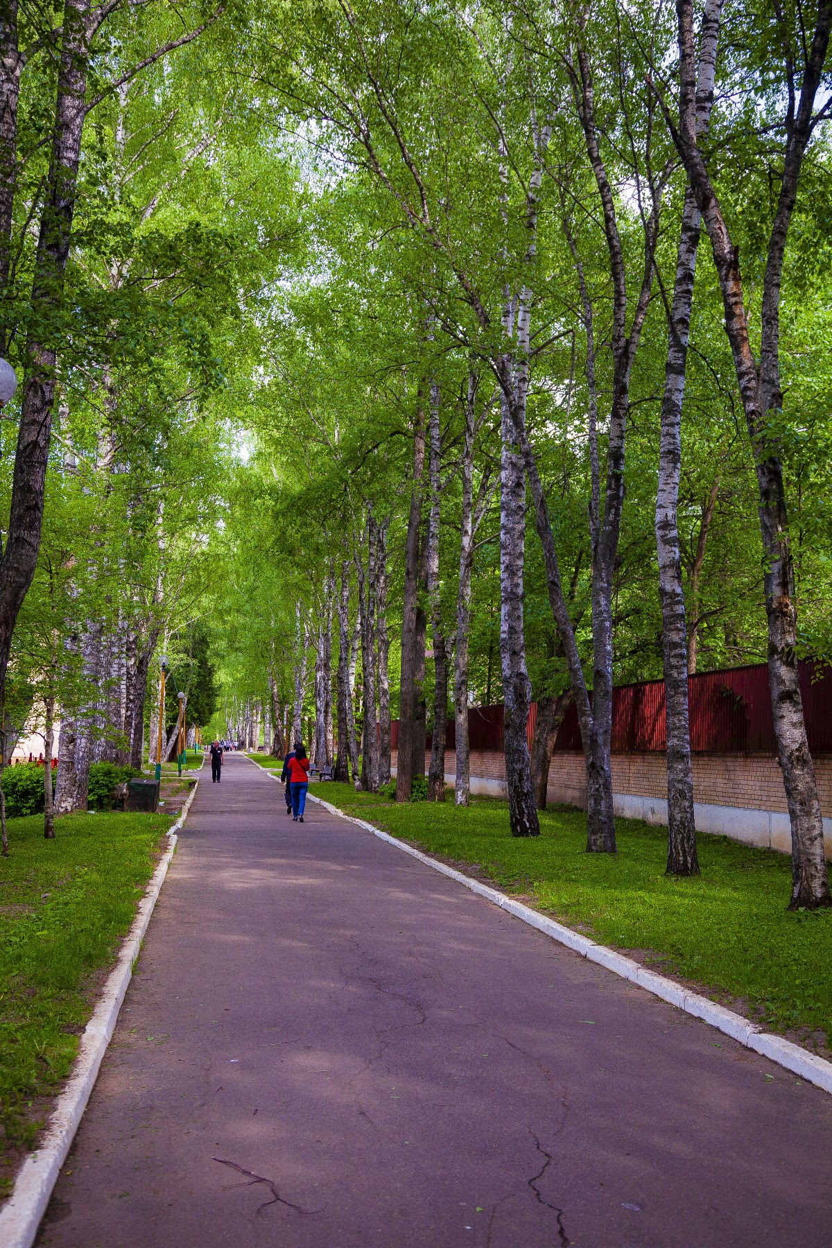 Территория парка