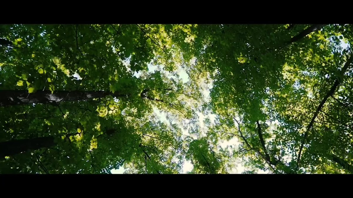 ВИДЕО ЦЕРЕМОНИЙ