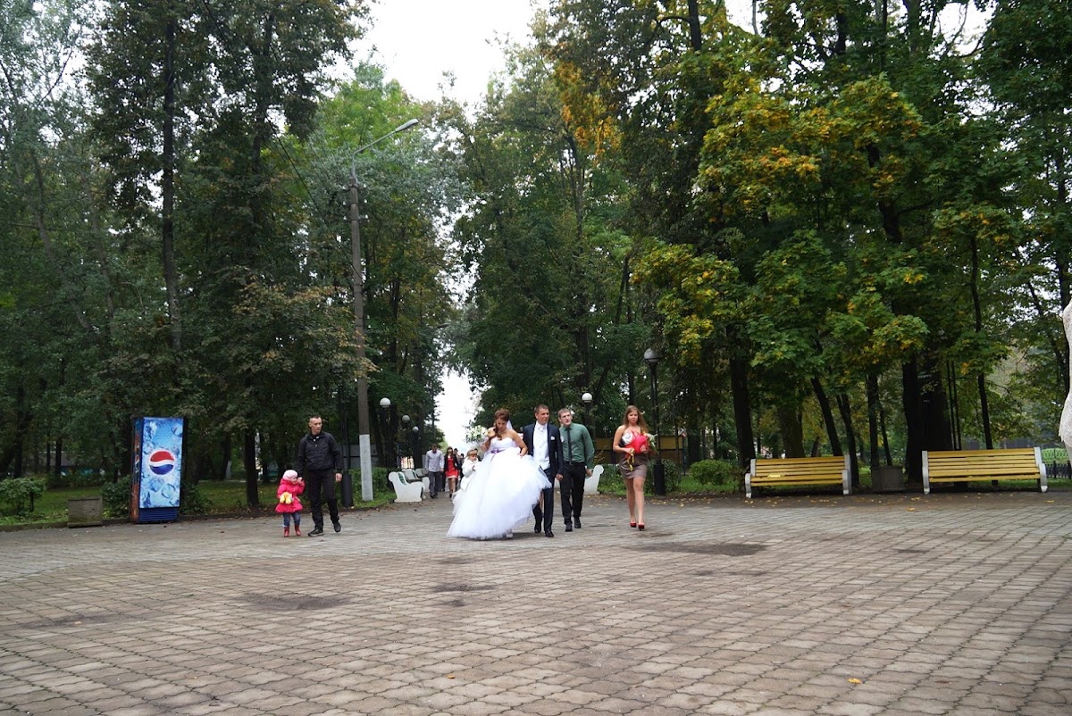 Свадебный отчёт