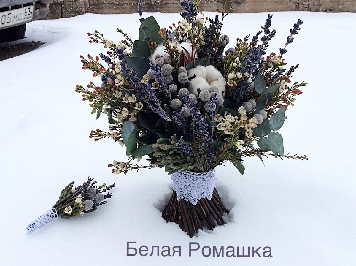 Белая Ромашка