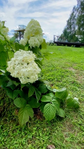 Фотогалерея ресторана
