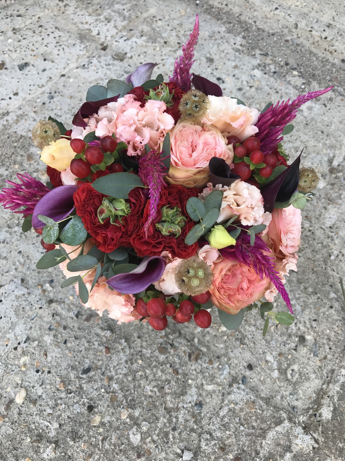 Krona_flowers