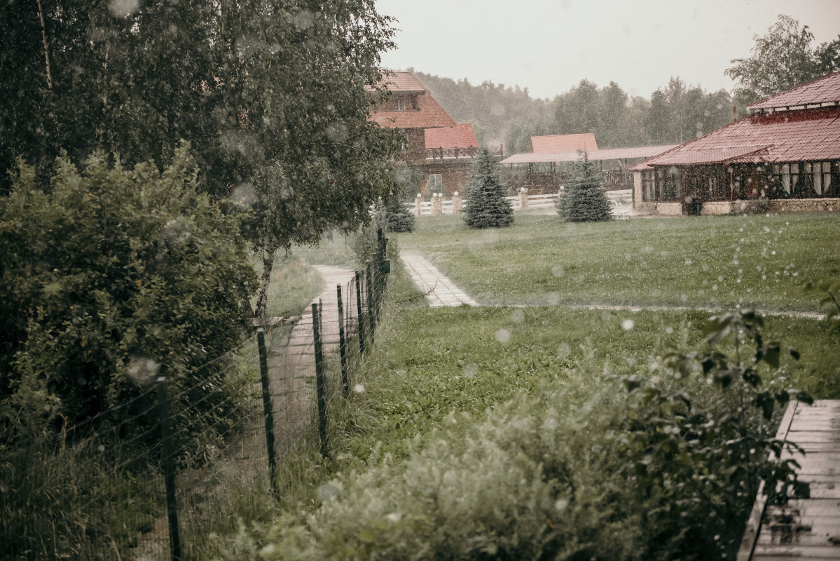 Фотогалерея ресторана