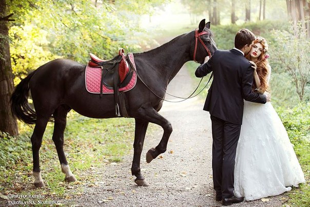 Свадебный отчёт