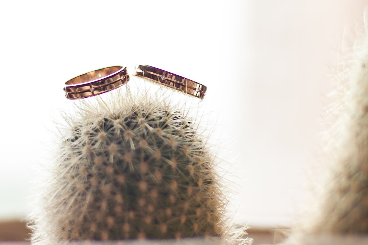 Наталия и Алексей