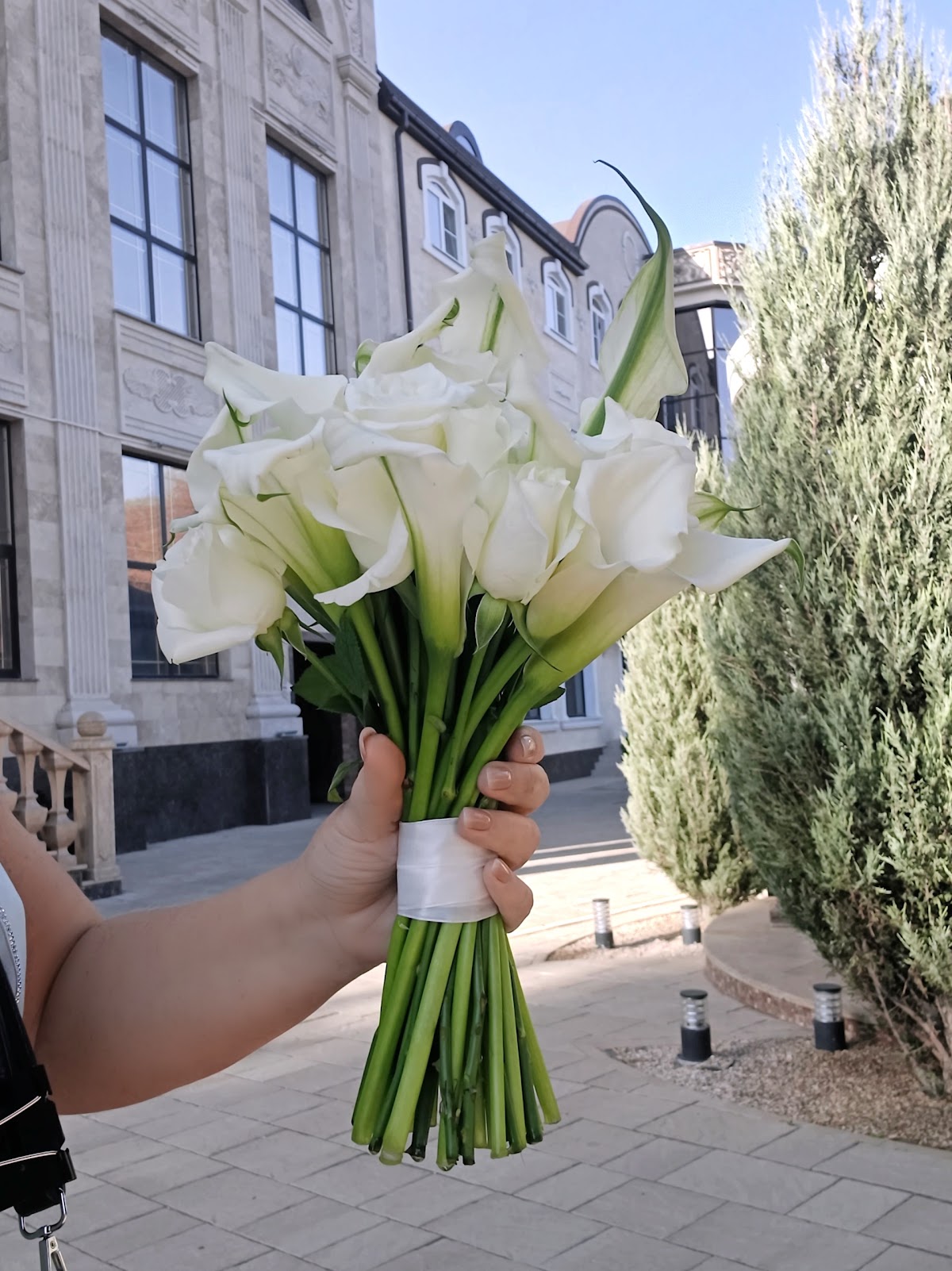 Diamond Wedding — кадр 3 из 199