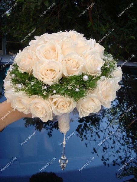 Flowers by Luiza