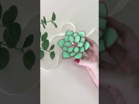 Суккуленты