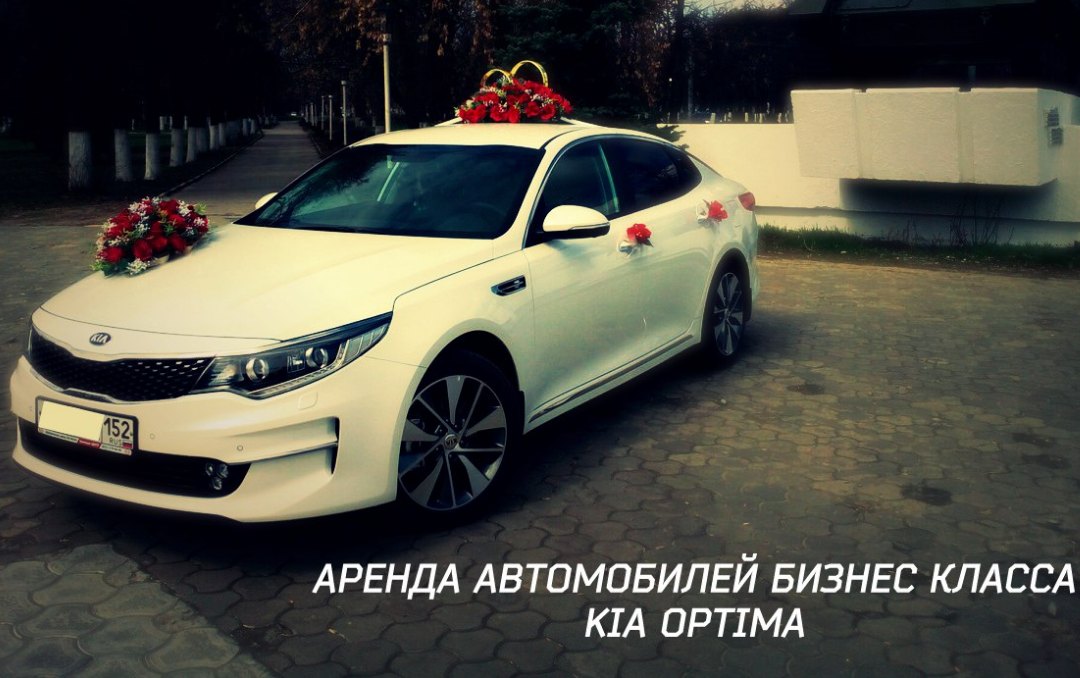 Фотографии