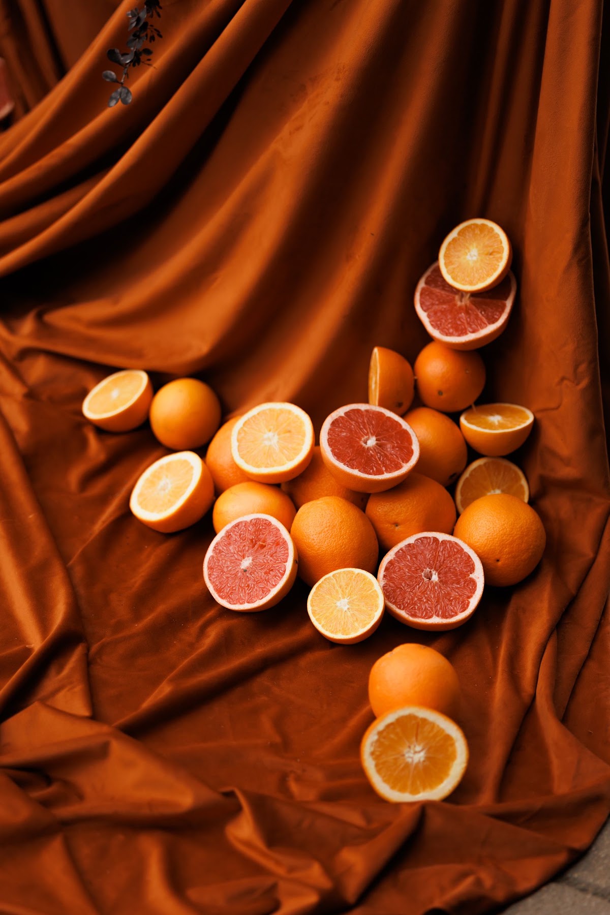 ‘orange edition’