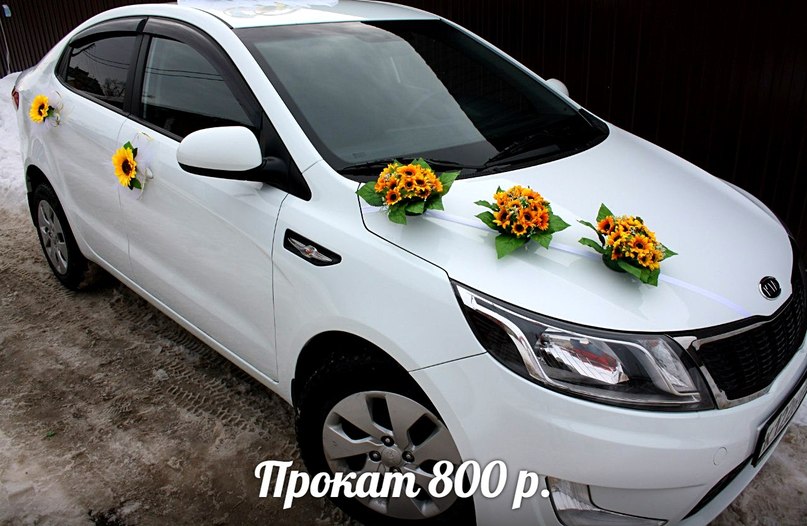 Кадр 140 из 196