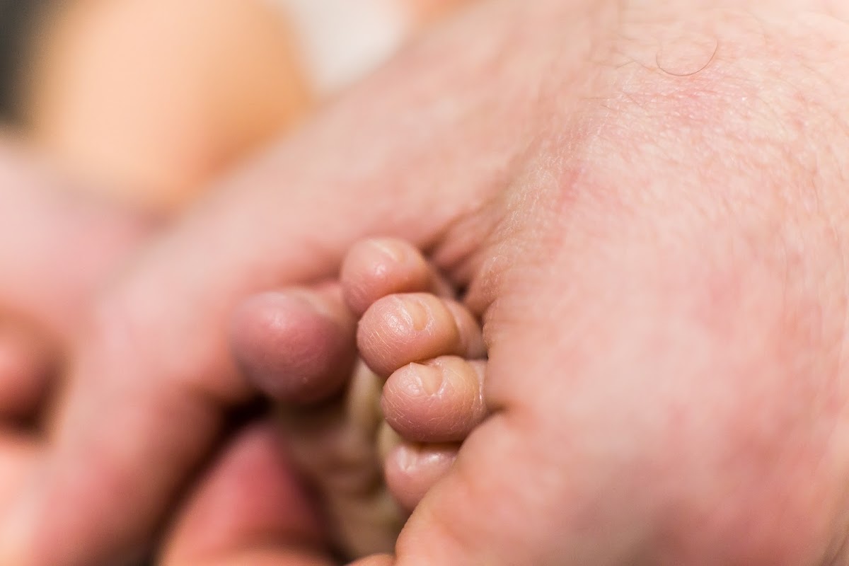 Портфолио: Выписка из роддома
