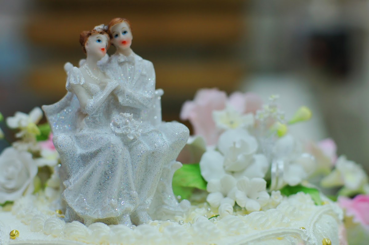 Кондитерская «Tortes»