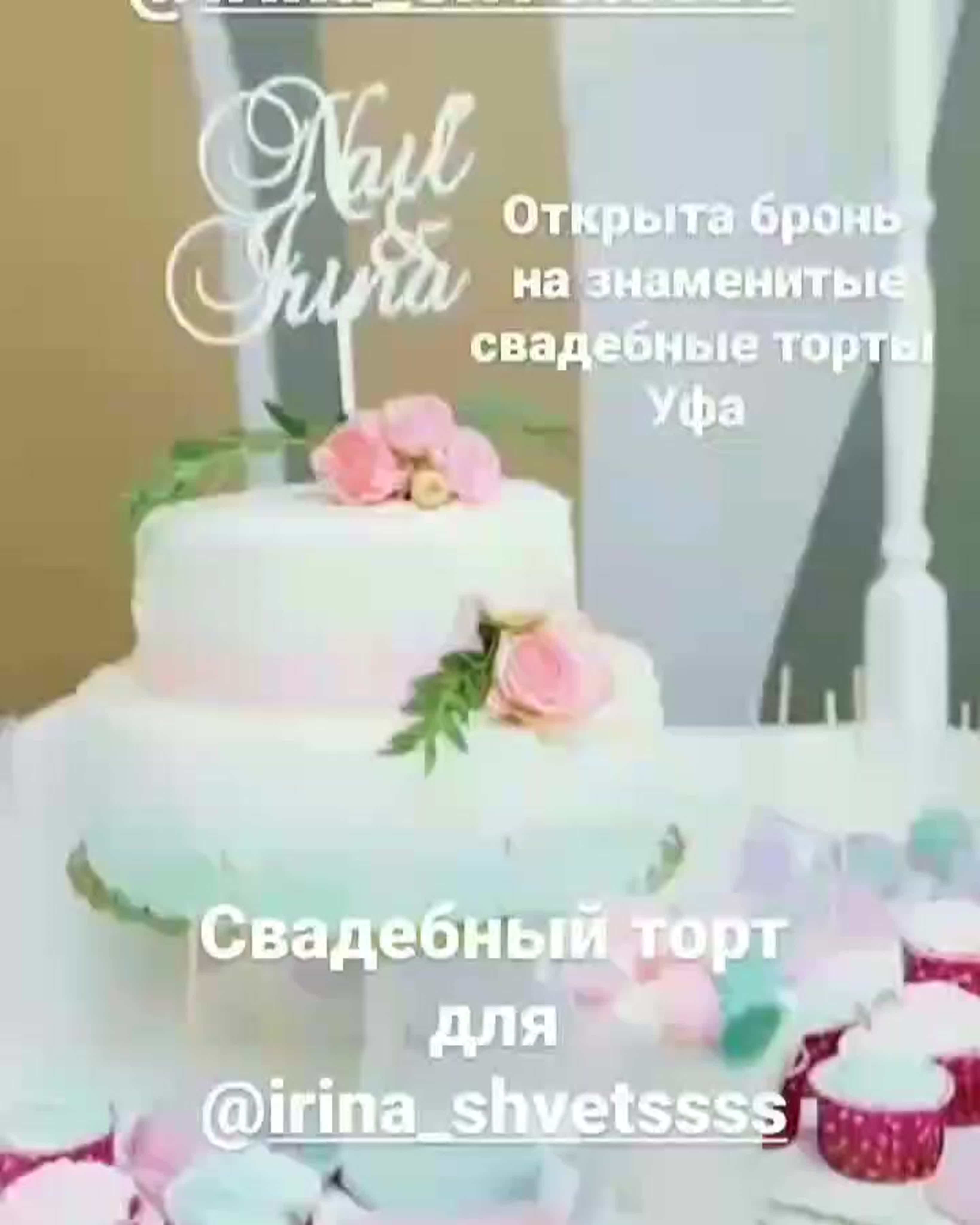 Эльвира Швец