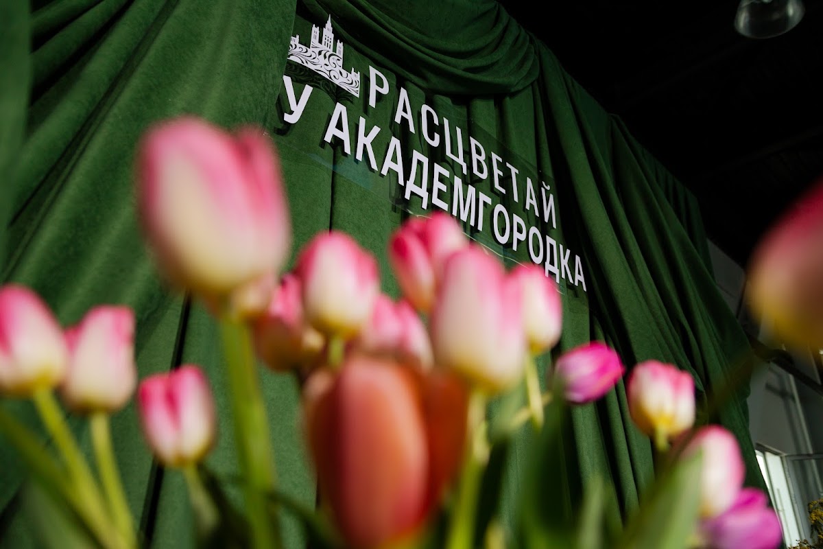 Кадр 38 из 200
