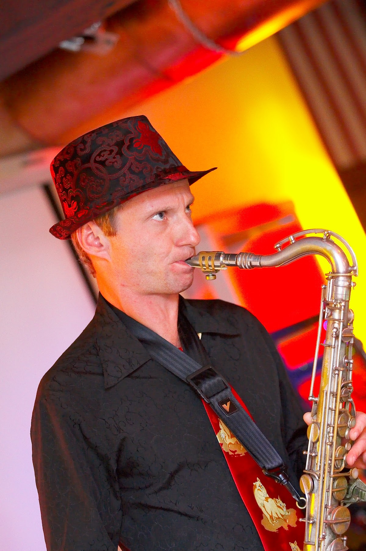 Портфолио: Свадьба