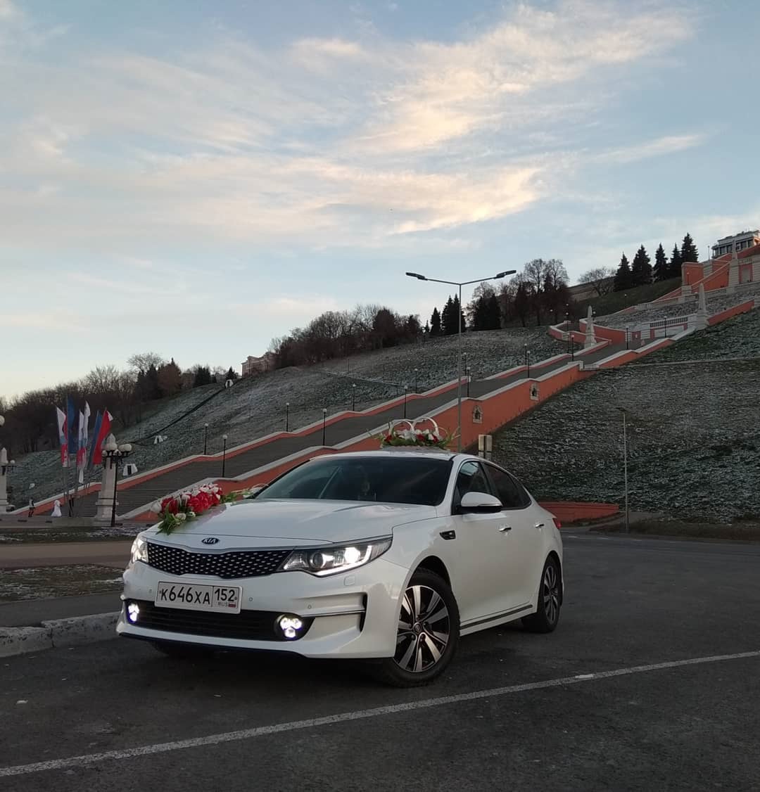 Кадр 49 из 66