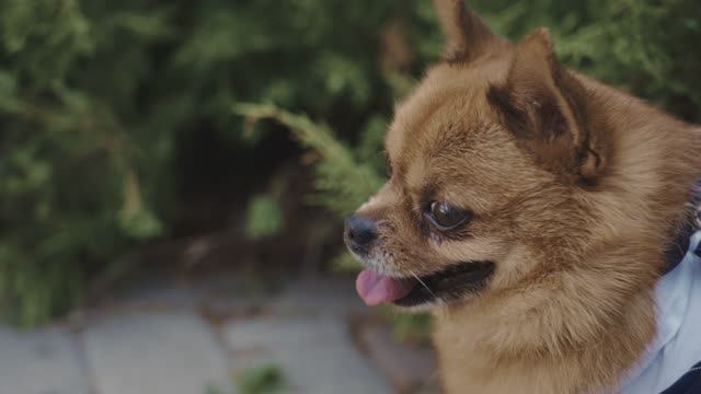 Евгений Ольховский — кадр 3 из 20