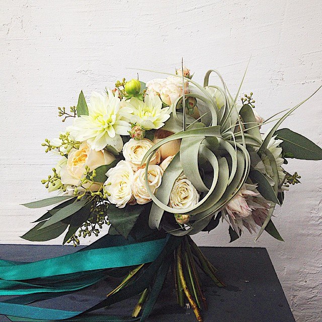 Botanica Decor