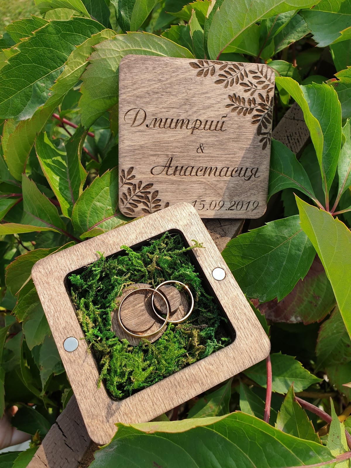 DunKsenWood — кадр 5 из 20