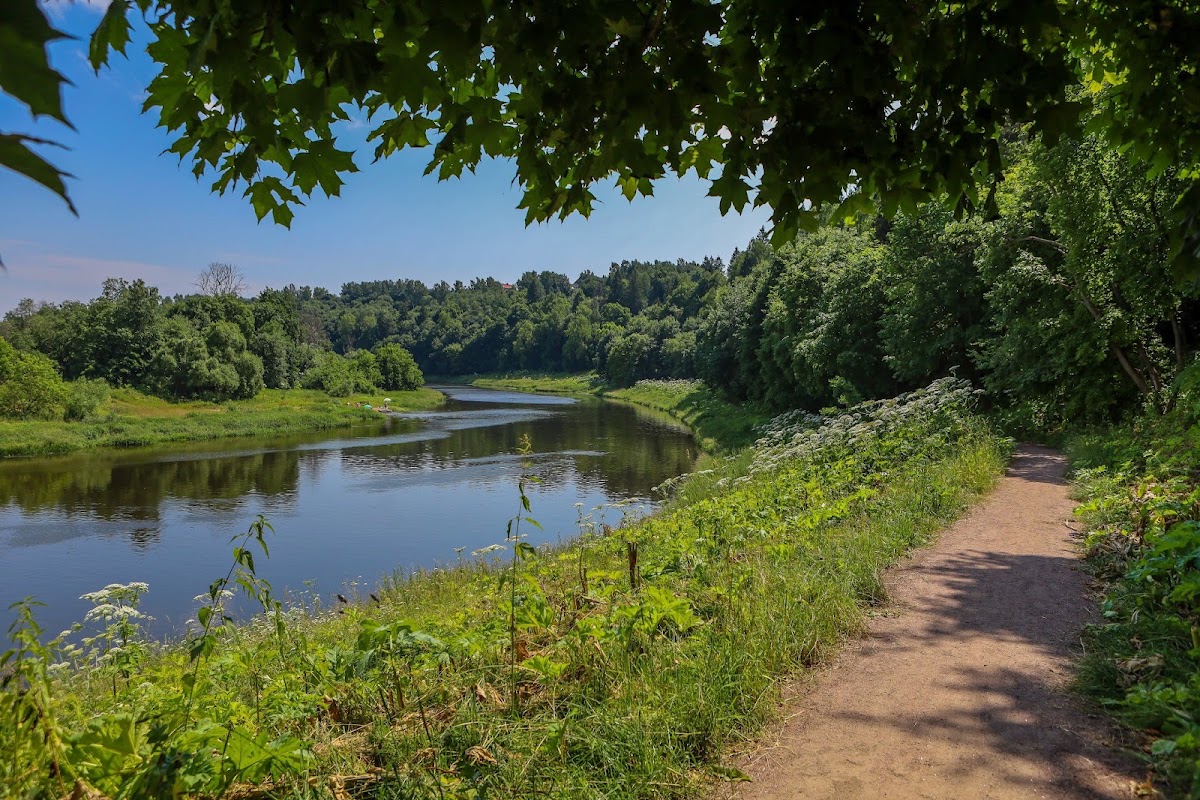 Фотогалерея ресторана
