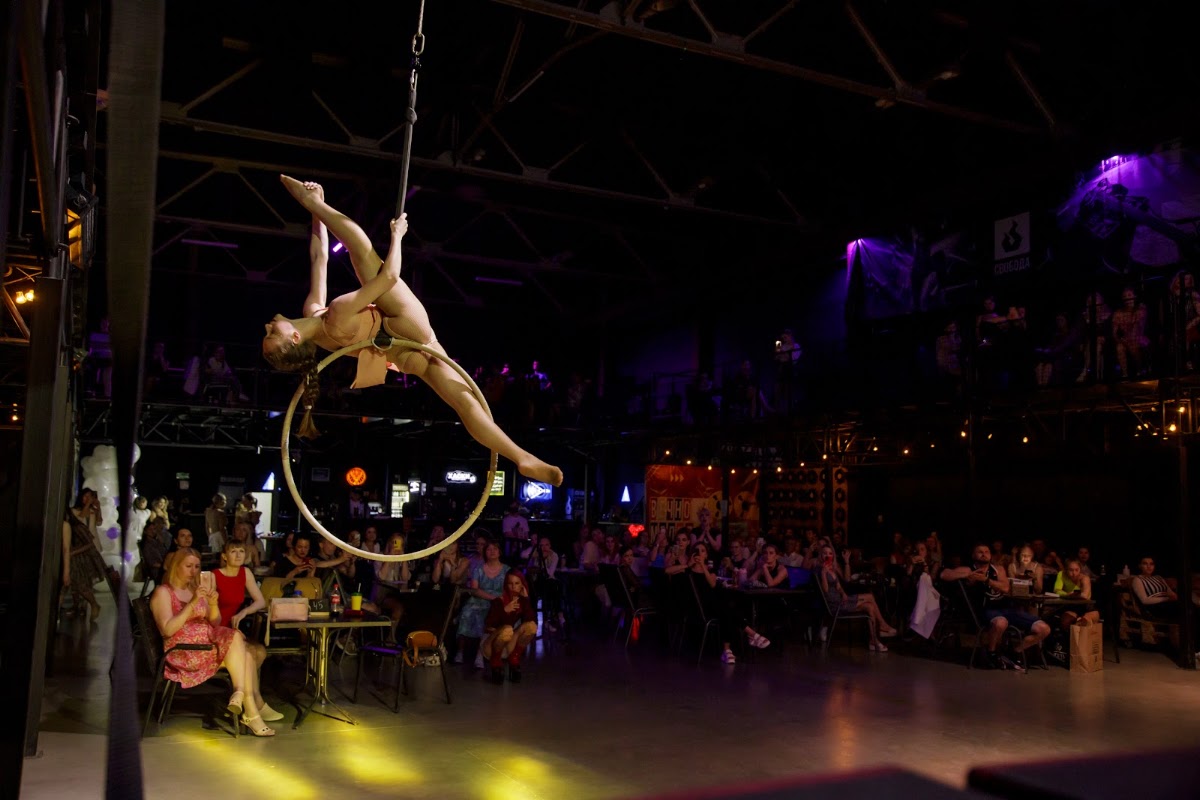 Воздушное кольцо - aerial hoop