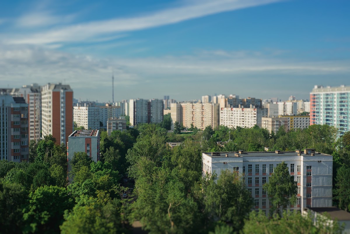 Анастасия и Виталий