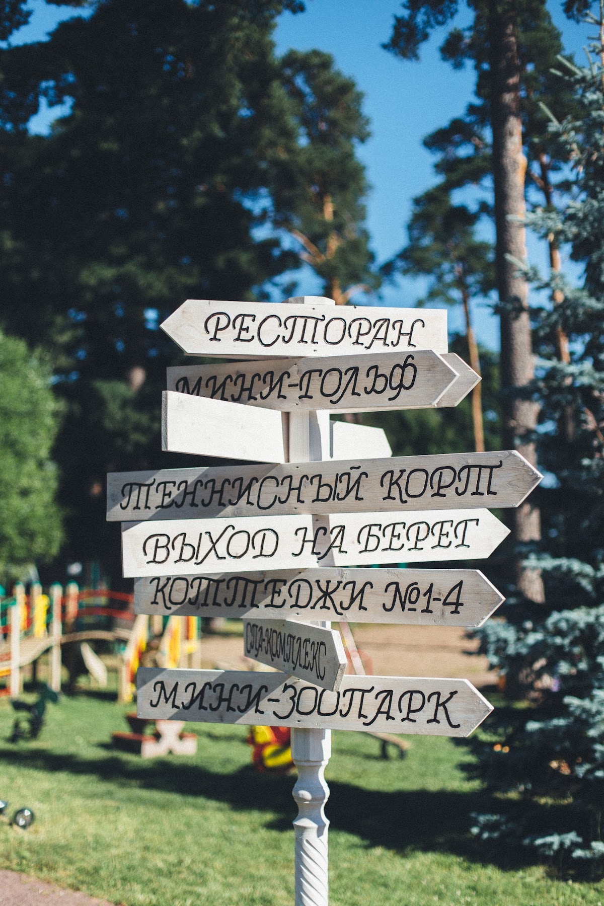 Свадебный отчёт