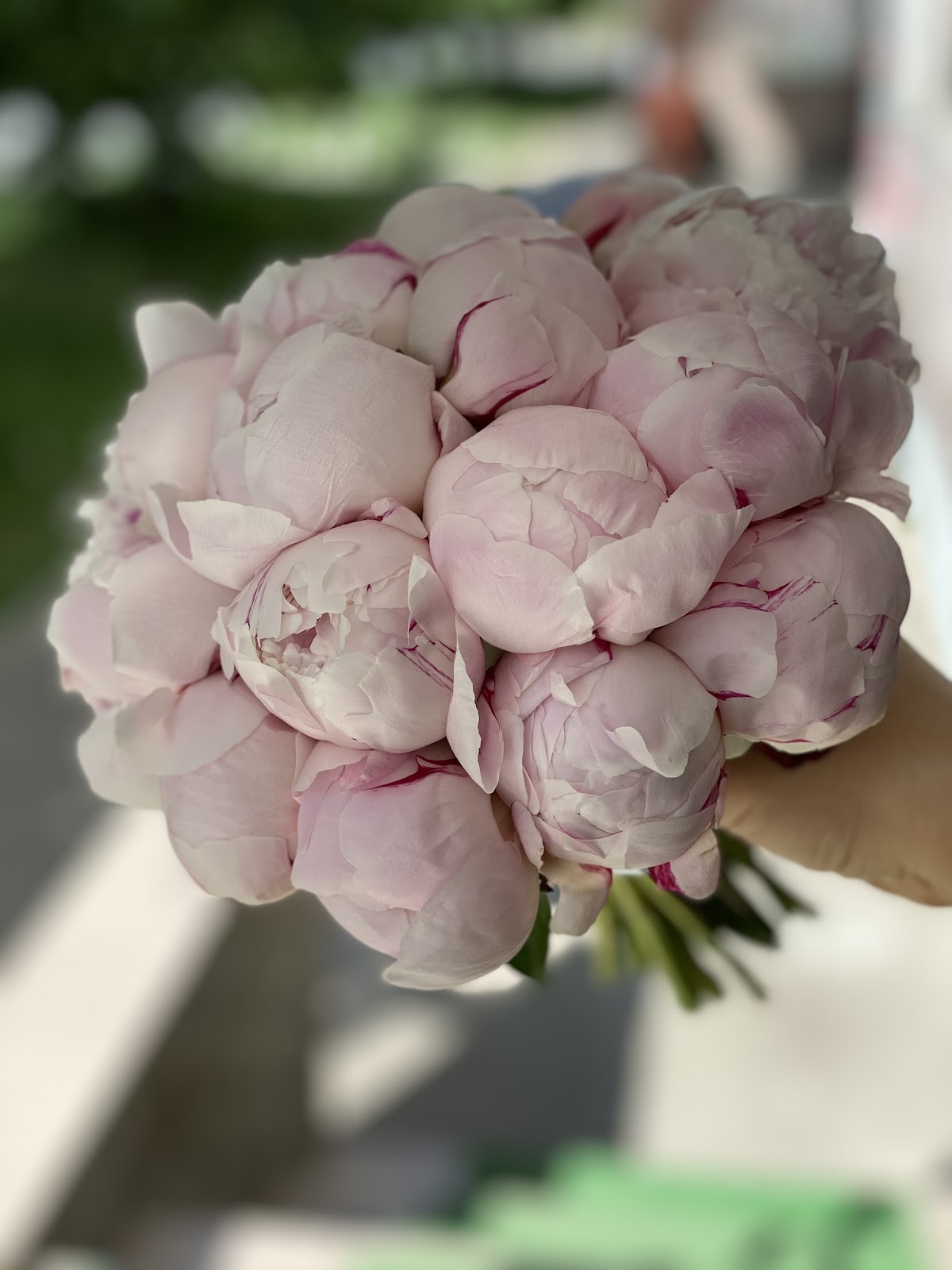 Кадр 48 из 82