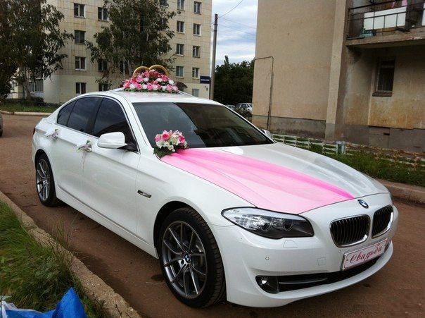 Портфолио