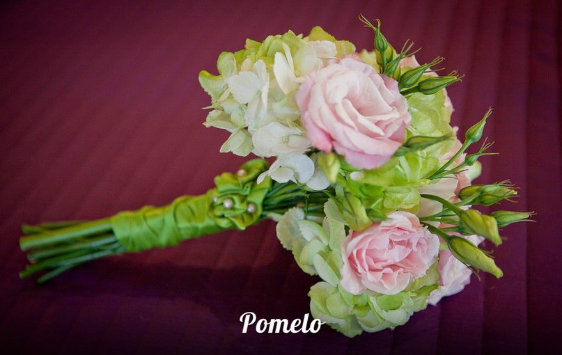 Pomelo