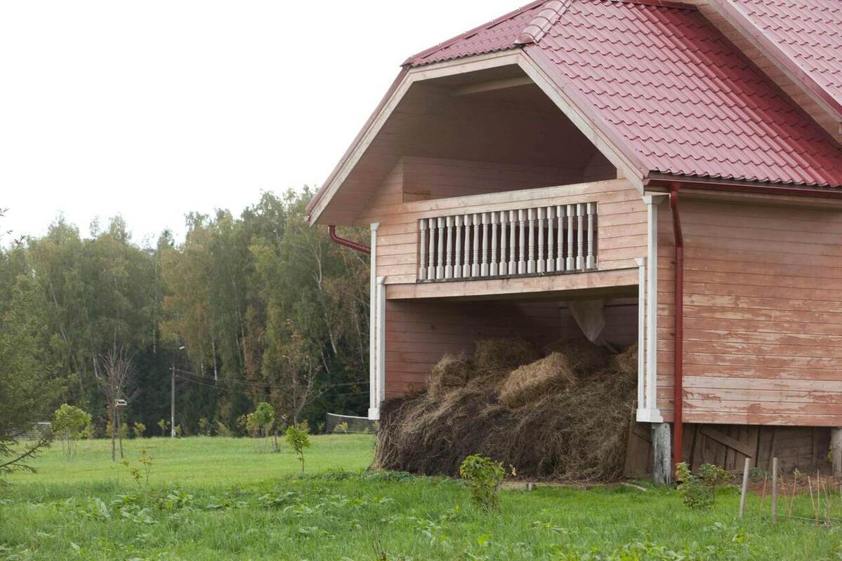 Фотогалерея ресторана