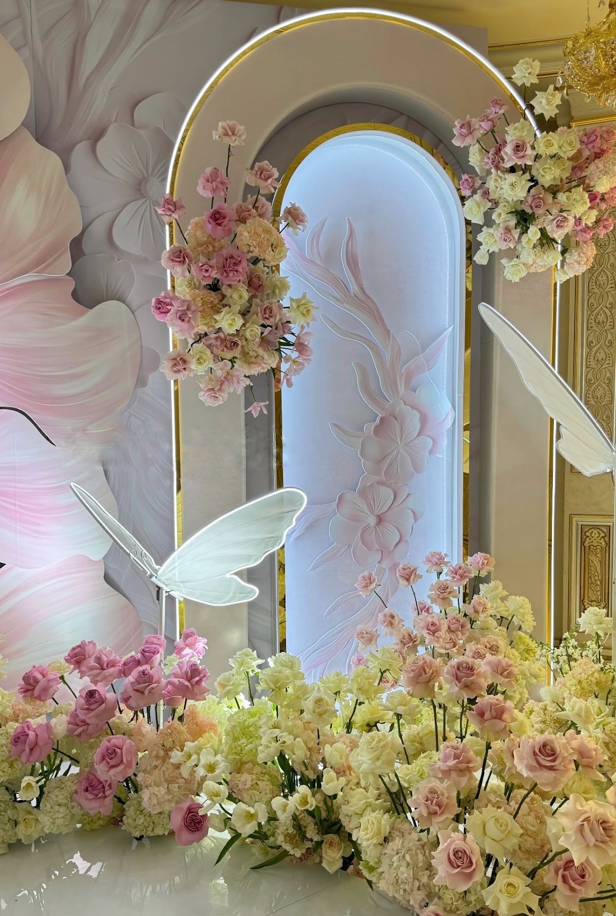 Фотографии