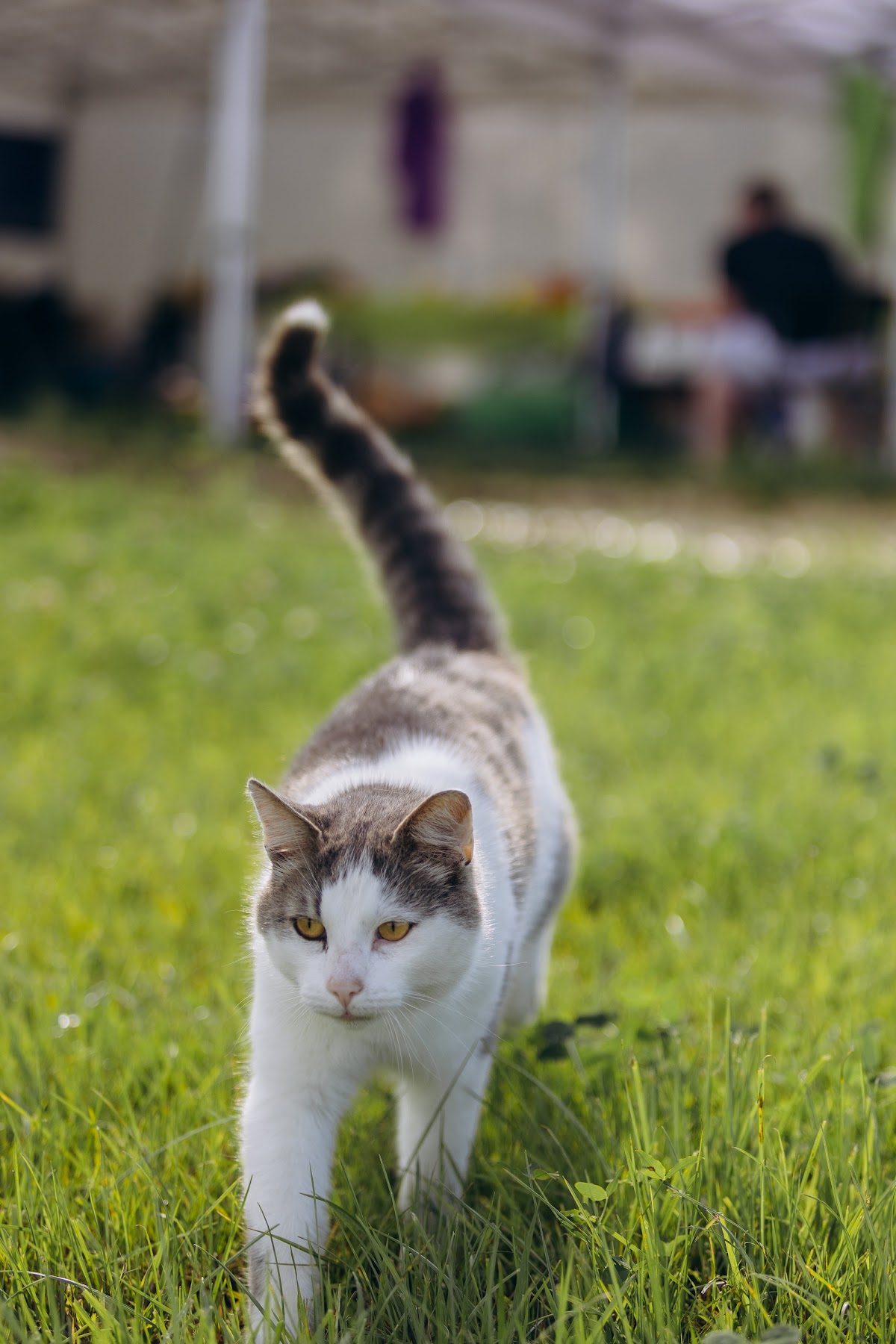 Корпоратив