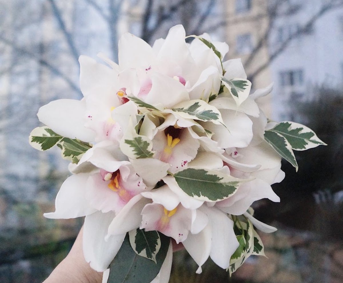Кадр 35 из 44
