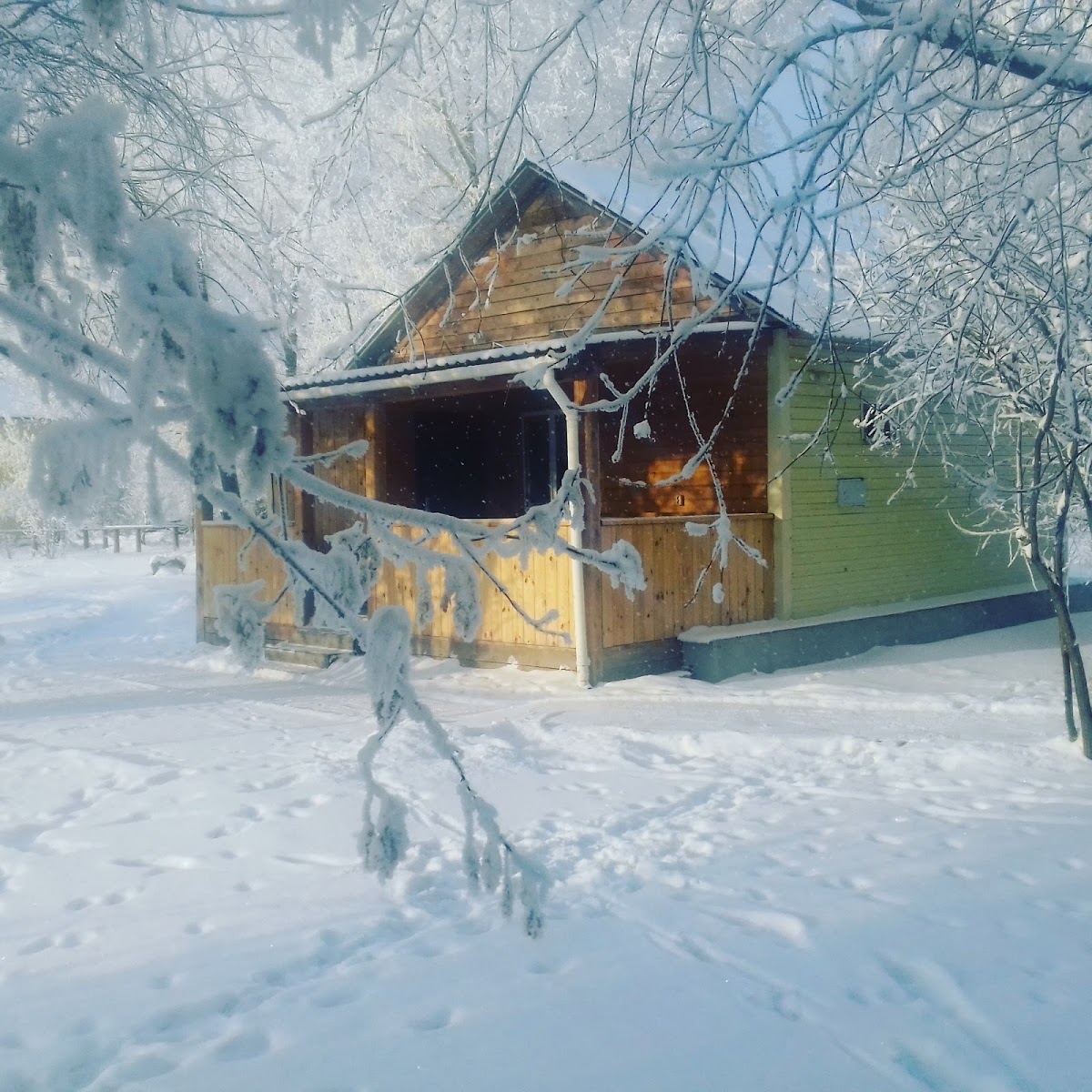 Портфолио