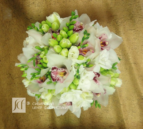 Кадр 31 из 34