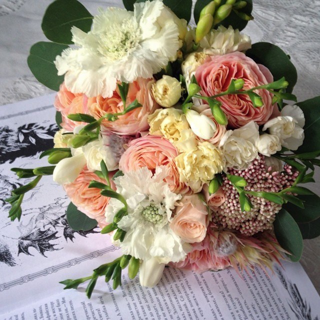 Masha flowers
