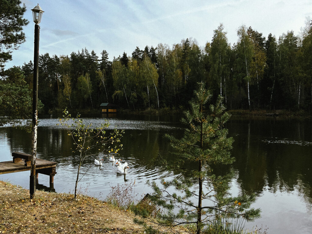 Свадьбы